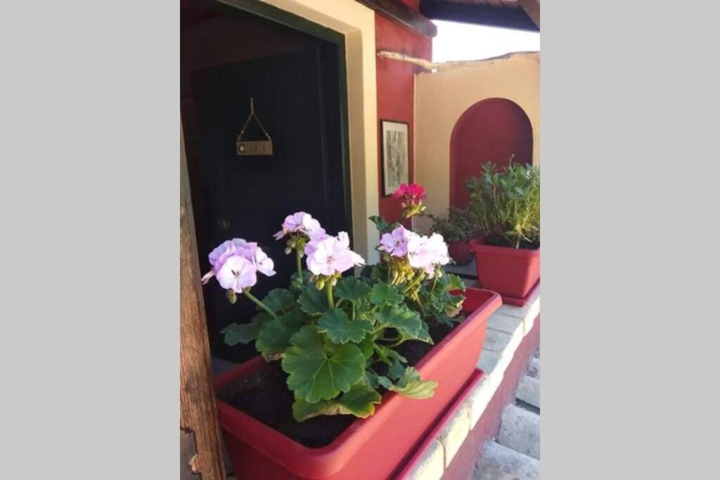 Green Hill Studio Corfu Town 外观 照片