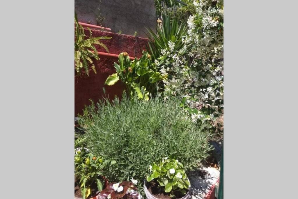 Green Hill Studio Corfu Town 外观 照片